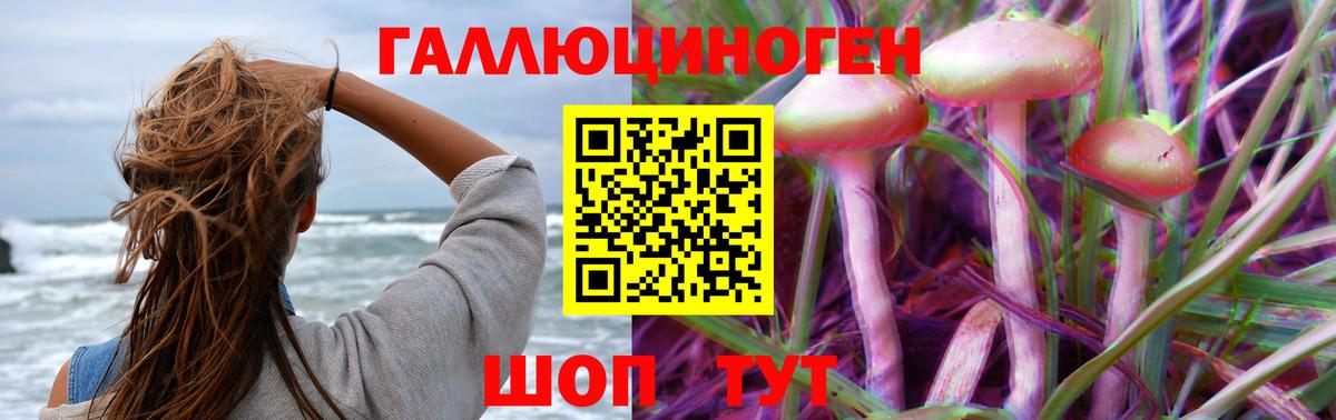 Костомукша  Галлюциногенные грибы Psilocybe  закладки  Вход с VPN 