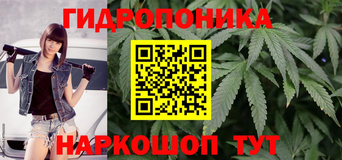 Костомукша  Канабис Bruce Banner  Бошки марихуана Amnesia  Марихуана семена  Вход с VPN  МАРИХУАНА Amnesia 